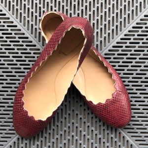 CHLOE Lauren Snakeskin Ballerinas - EUC